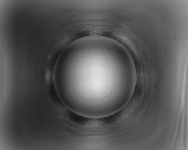 X0000090470123200707131304