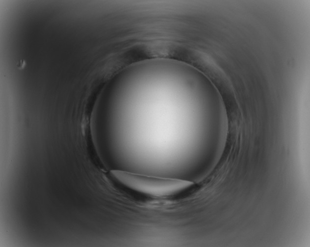 X0000090470125200707131304