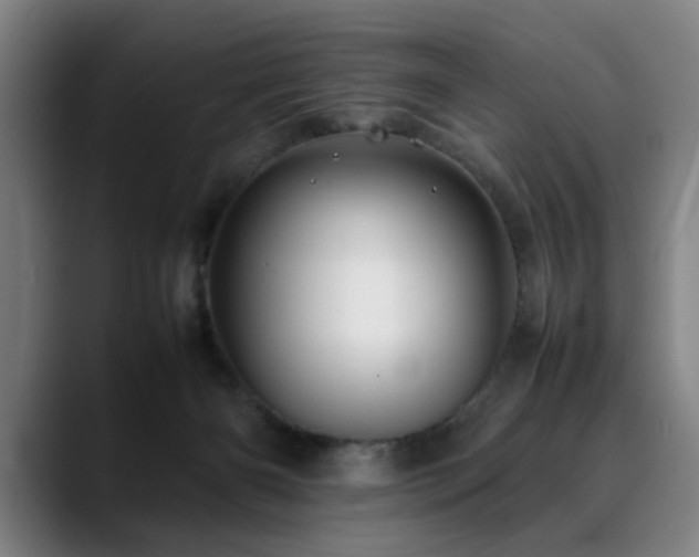X0000090470126200707131304