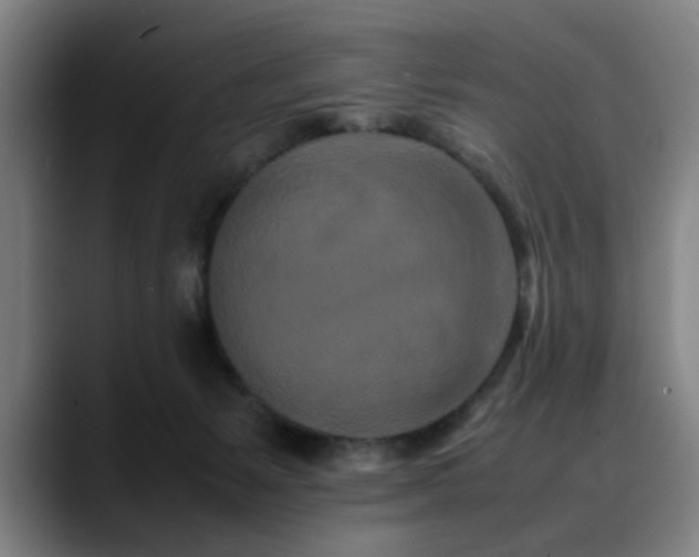 X0000090470127200707131304
