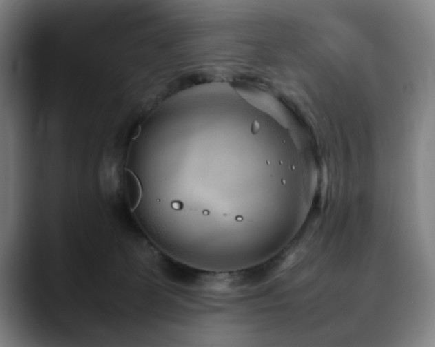 X0000090470131200707131304