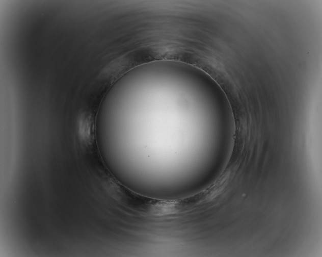 X0000090470138200707131304