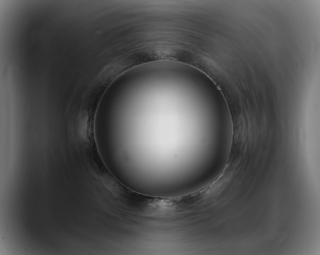 X0000090470140200707131304
