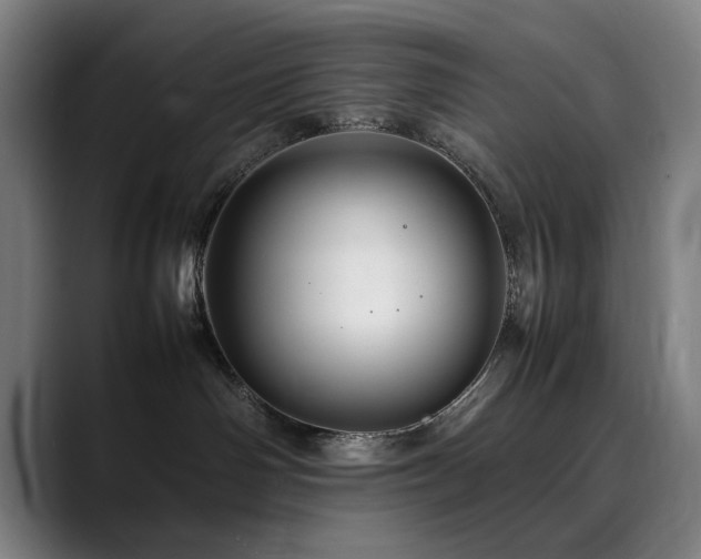 X0000090470142200707131304