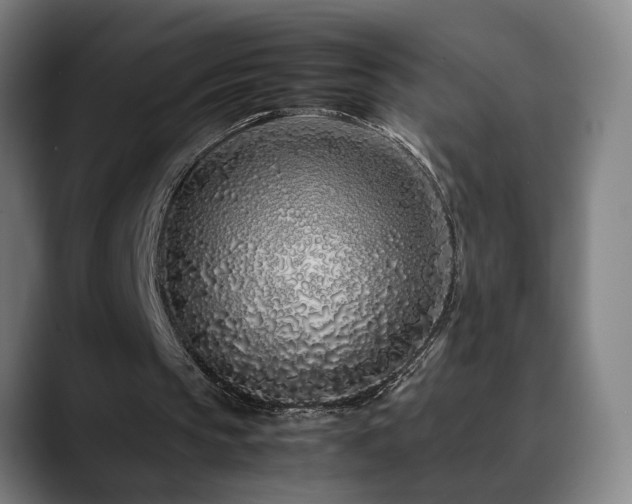 X0000090470145200707131304