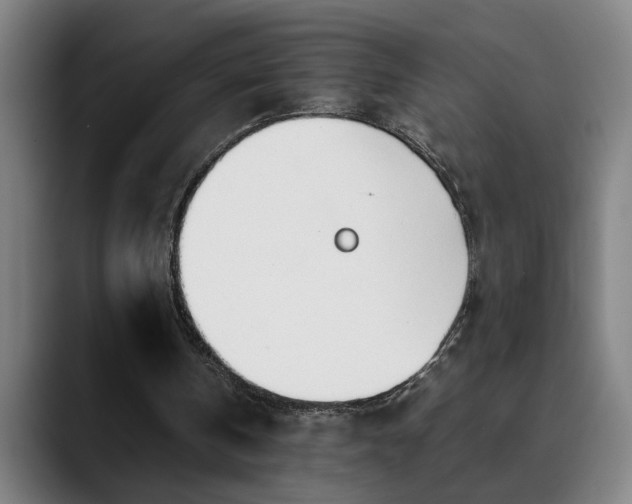 X0000090470146200707131304