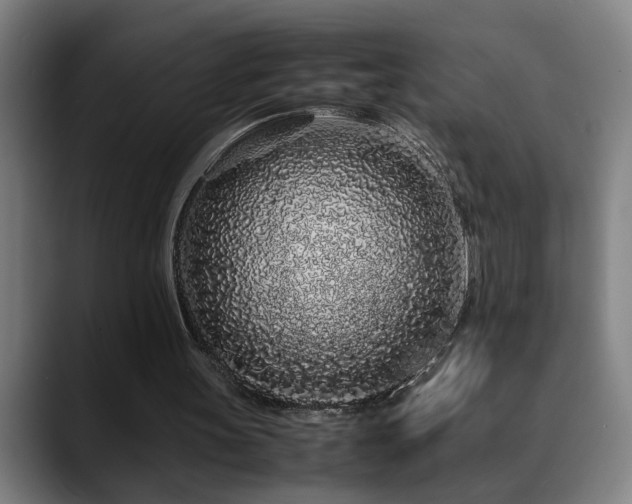 X0000090470147200707131304