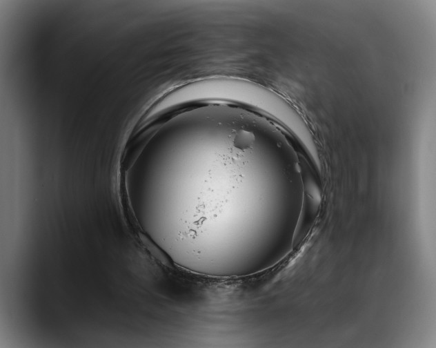 X0000090470148200707131304
