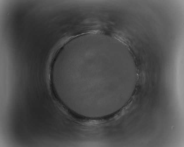 X0000090470149200707131304