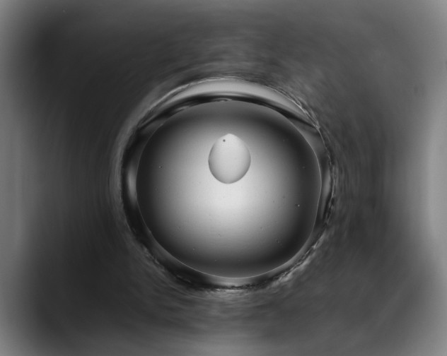 X0000090470150200707131304