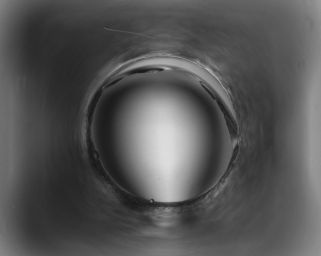 X0000090470152200707131304