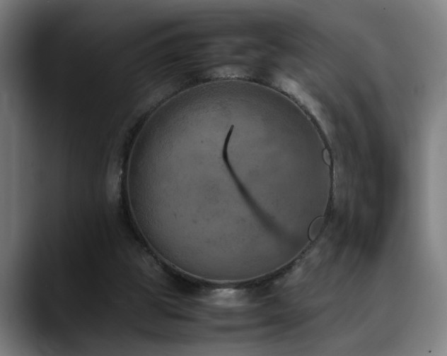 X0000090470153200707131304