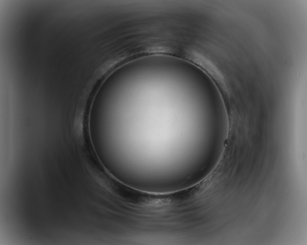 X0000090470155200707131304