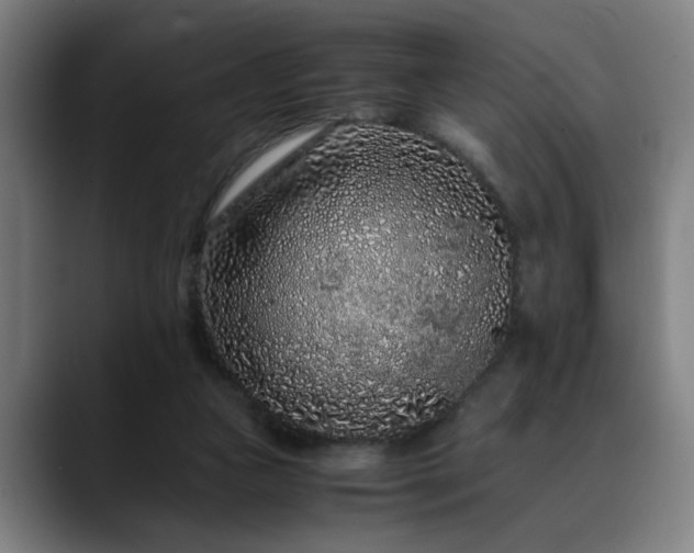 X0000090470161200707131304