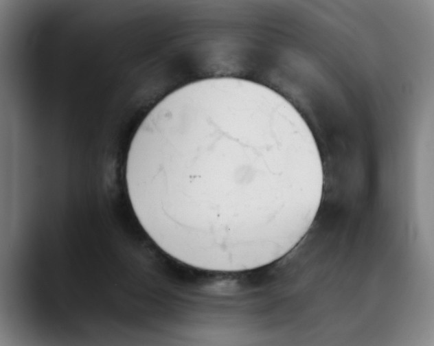 X0000090470162200707131304