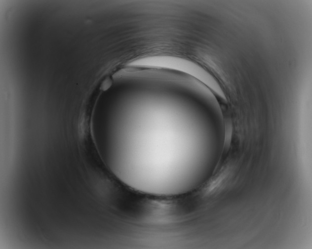 X0000090470164200707131304