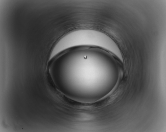 X0000090470168200707131304