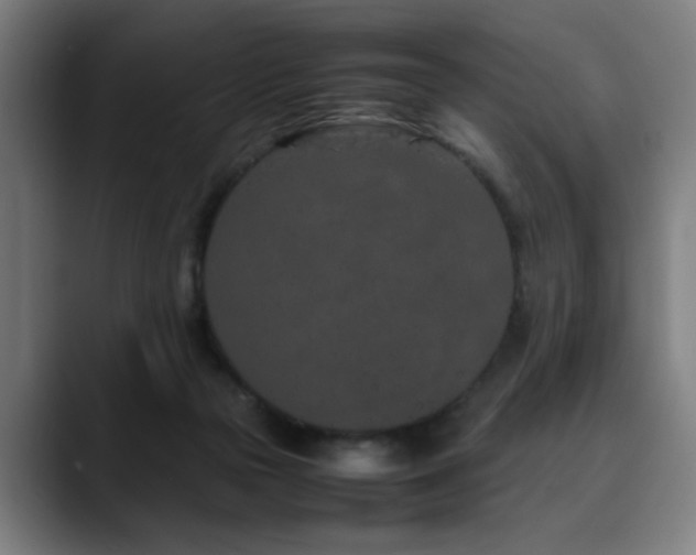 X0000090470169200707131304