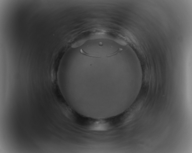 X0000090470173200707131304