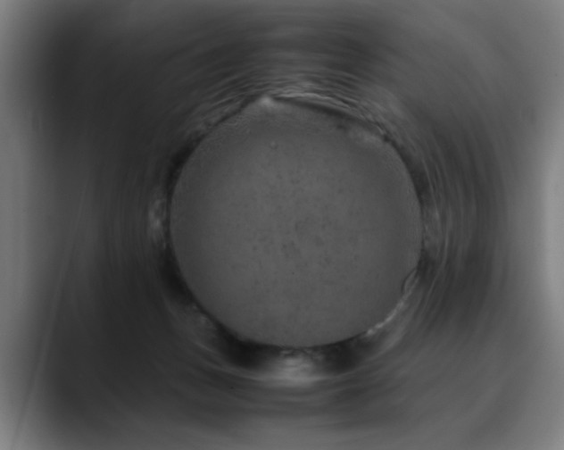 X0000090470175200707131304