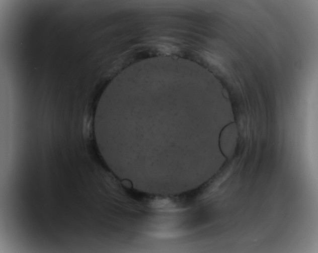X0000090470177200707131304