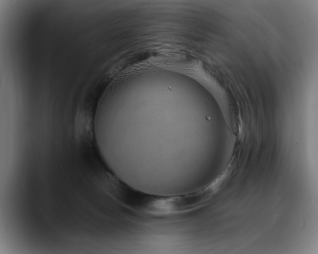 X0000090470178200707131304