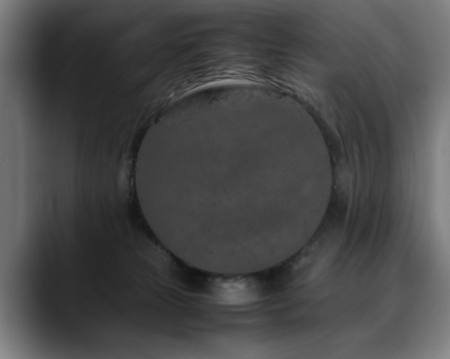 X0000090470181200707131304