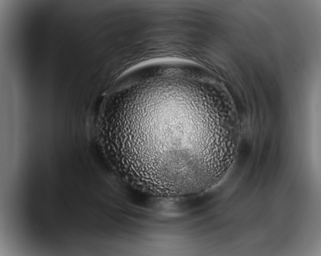 X0000090470182200707131304