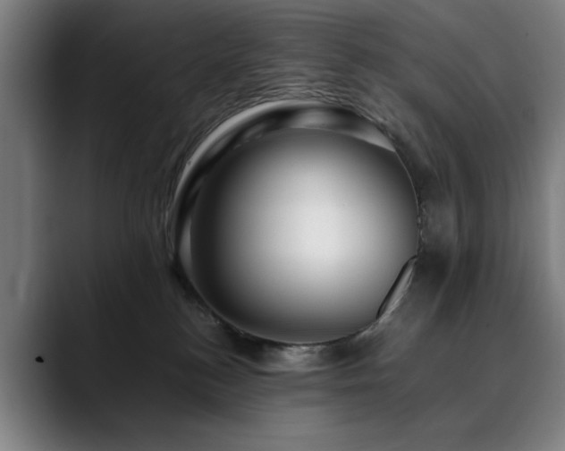 X0000090470184200707131304