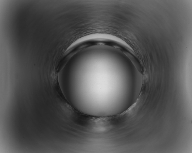 X0000090470186200707131304