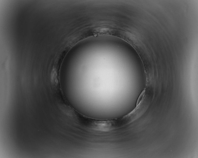 X0000090470187200707131304