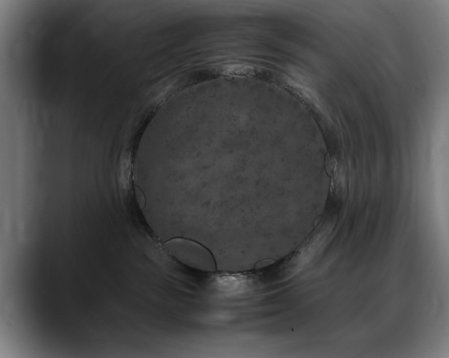 X0000090470189200707131304