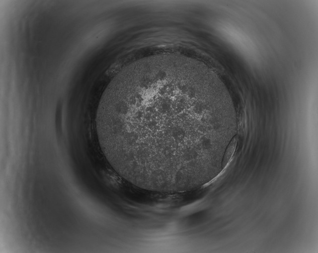 X0000090470191200707131304