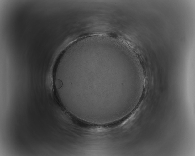 X0000090470198200707131304