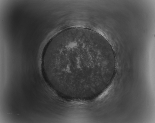 X0000090470199200707131304