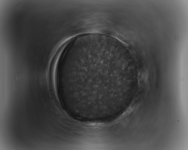 X0000090470200200707131304