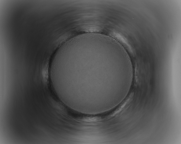X0000090470202200707131304