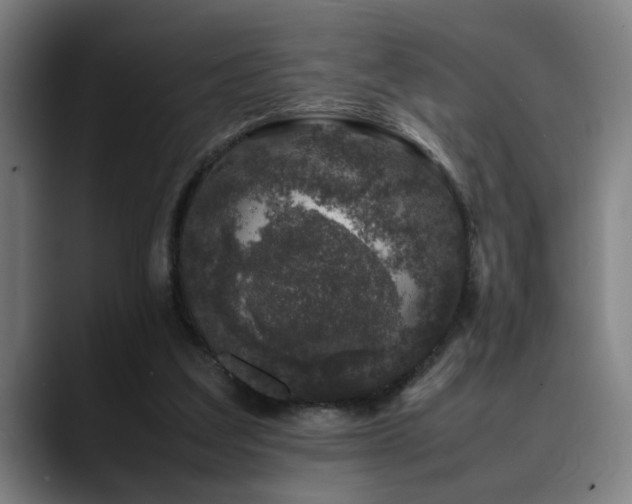 X0000090470203200707131304