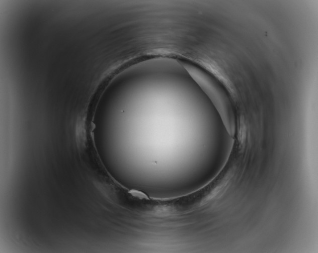 X0000090470204200707131304