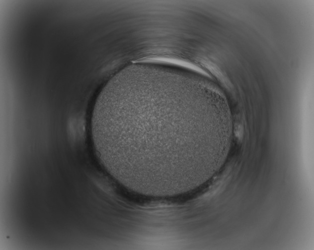 X0000090470207200707131303