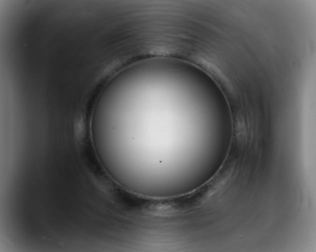 X0000090470208200707131303