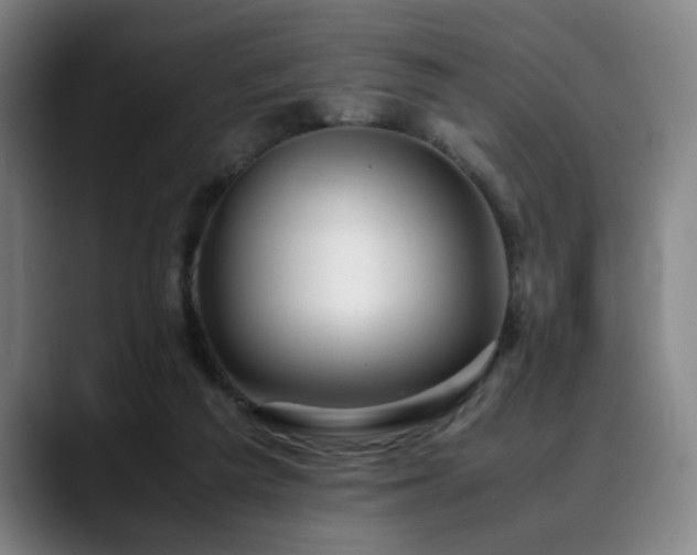 X0000090470209200707131303
