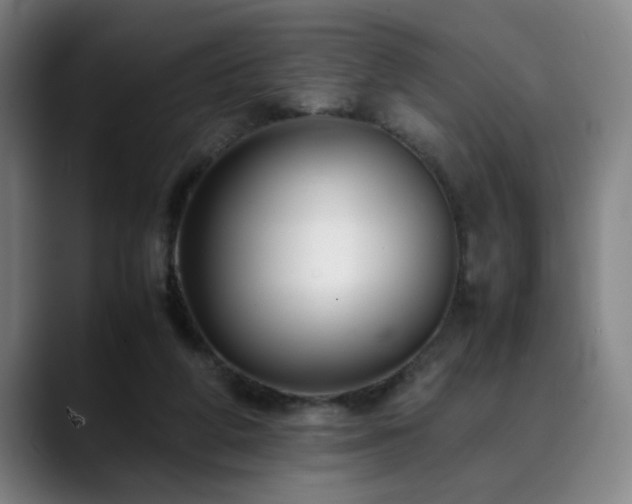 X0000090470210200707131303