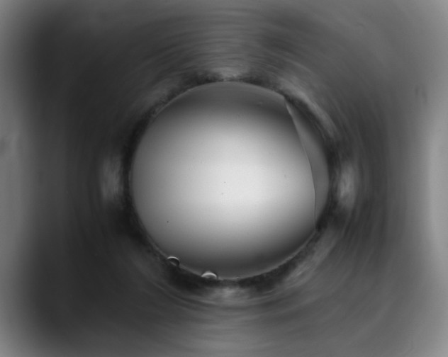 X0000090470212200707131303