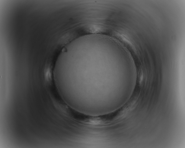 X0000090470214200707131303