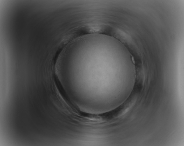 X0000090470215200707131303