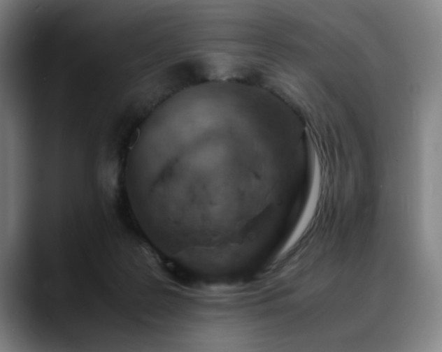 X0000090470219200707131303