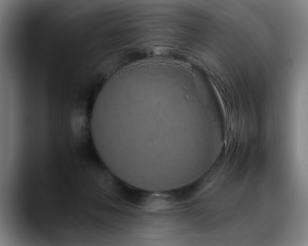 X0000090470222200707131303