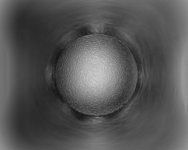 X0000090470233200707131303