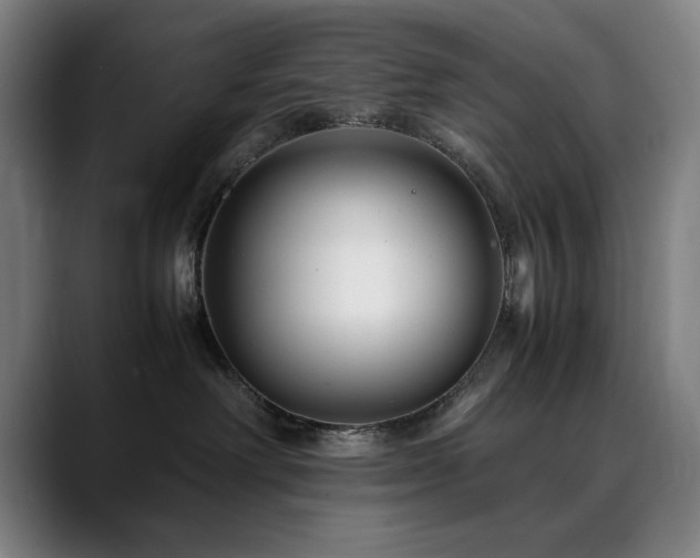 X0000090470238200707131303